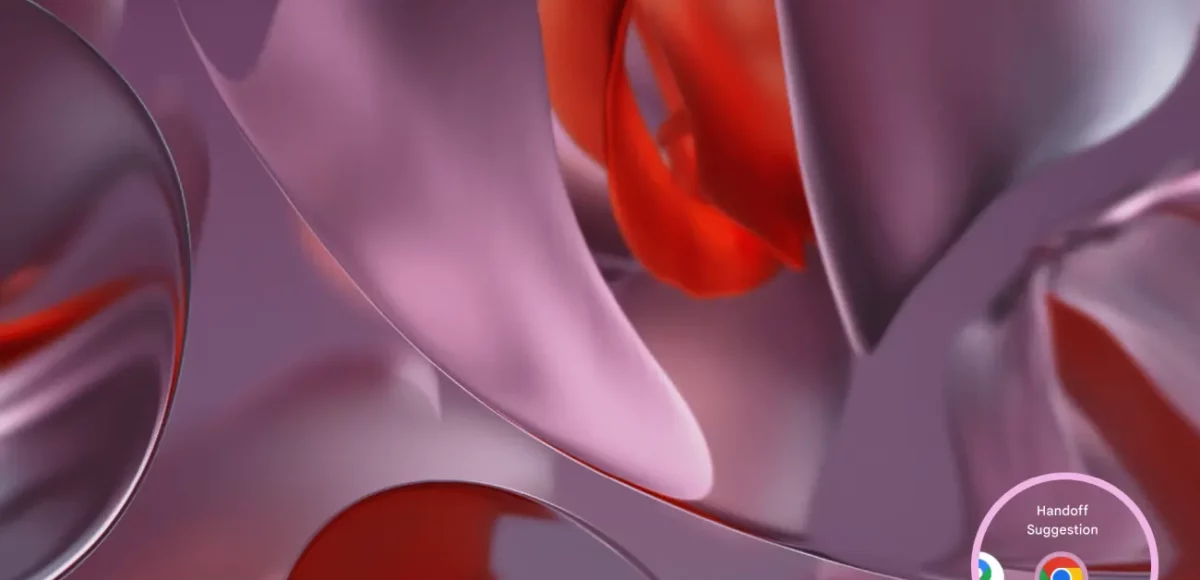 &nbsp;