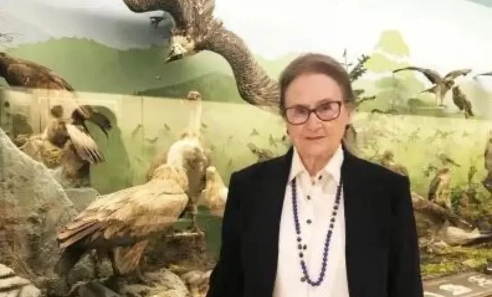 &nbsp;