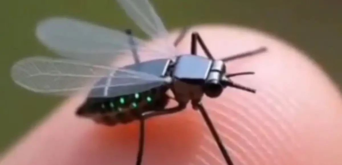 &nbsp;