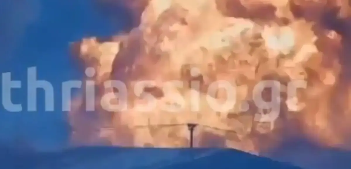 &nbsp;