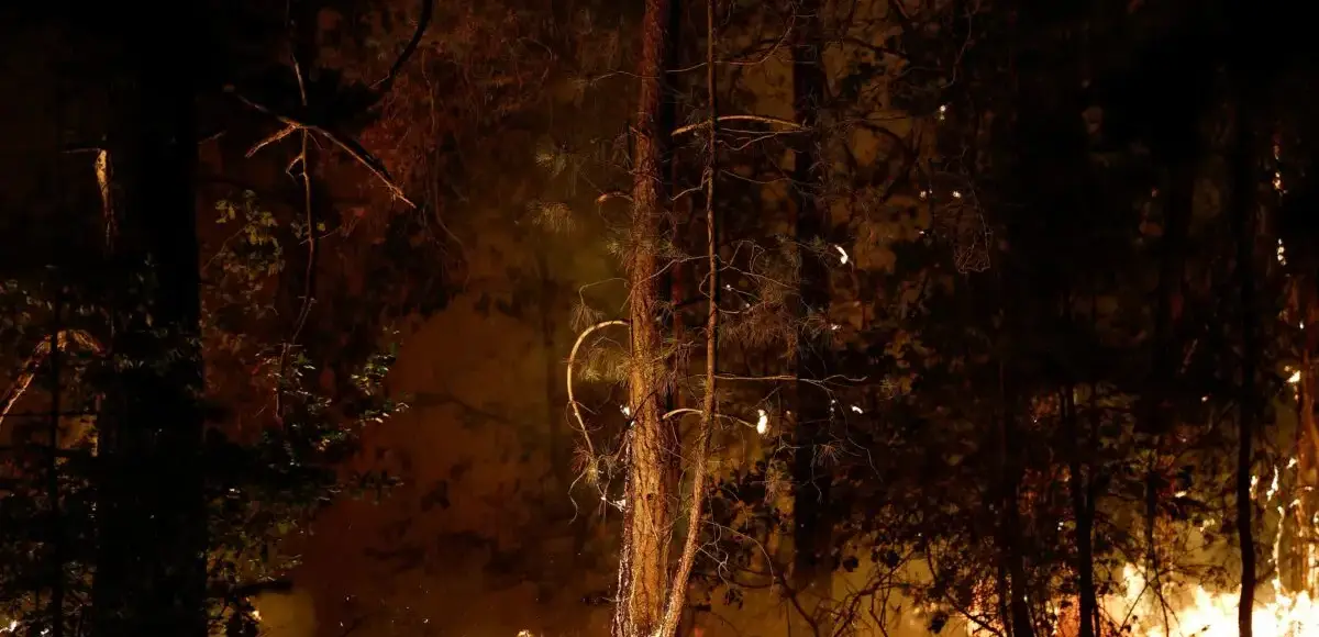 &nbsp;