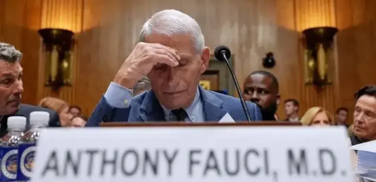 &nbsp;