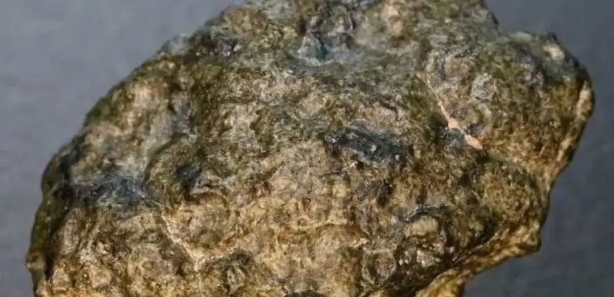 &nbsp;