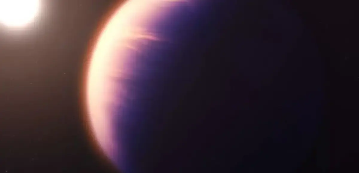 &nbsp;