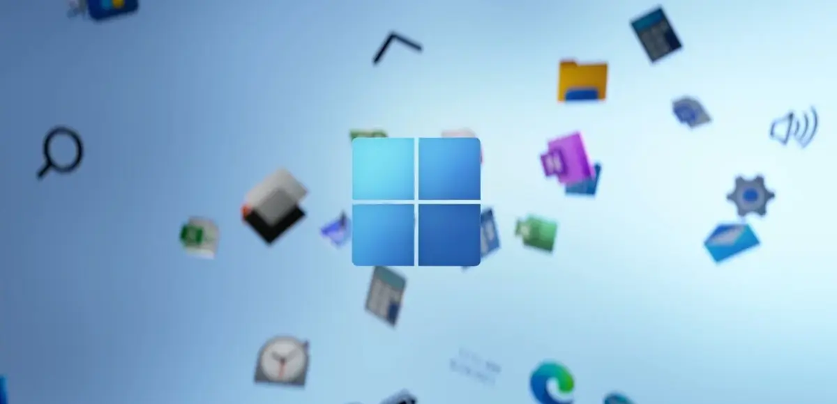 &nbsp;