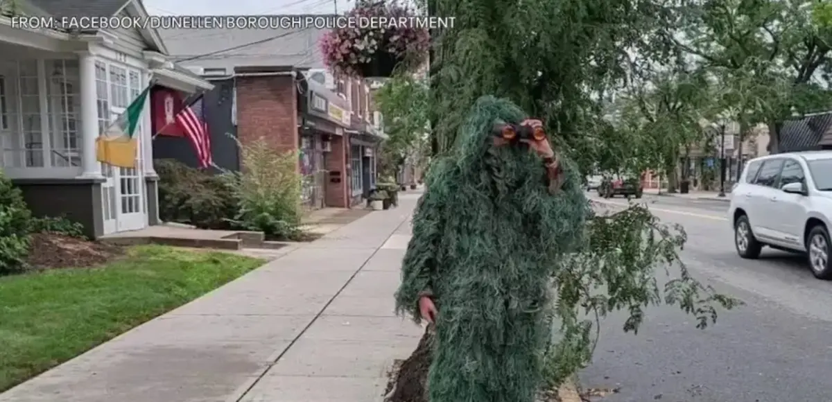 &nbsp;
