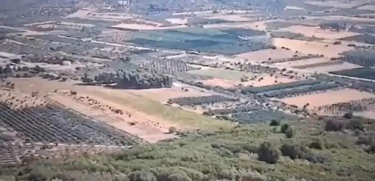 &nbsp;