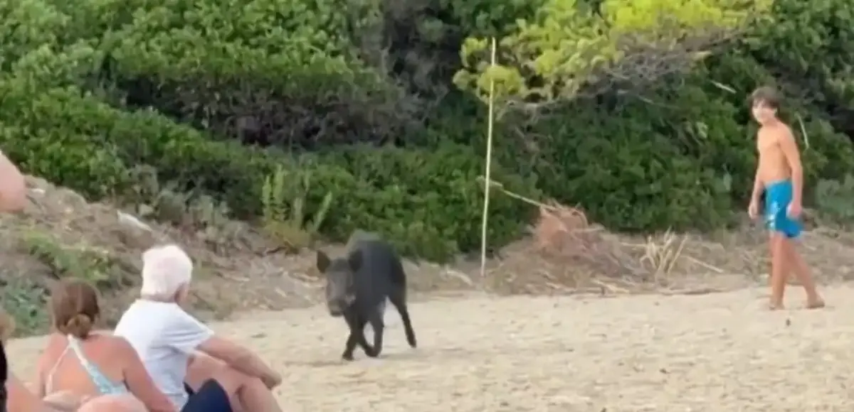 &nbsp;