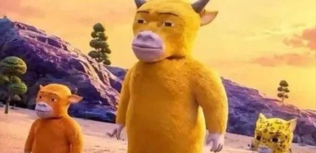 &nbsp;