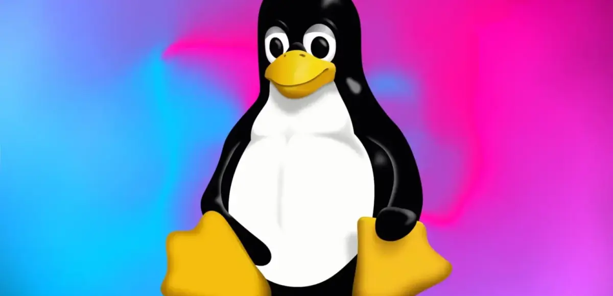 &nbsp;