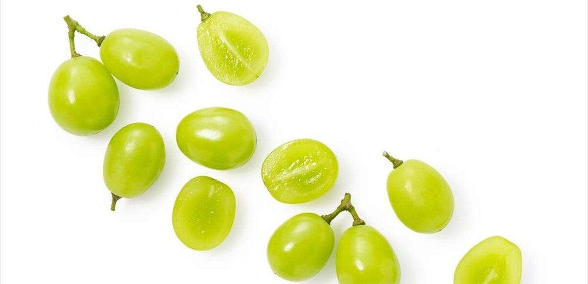 &nbsp;