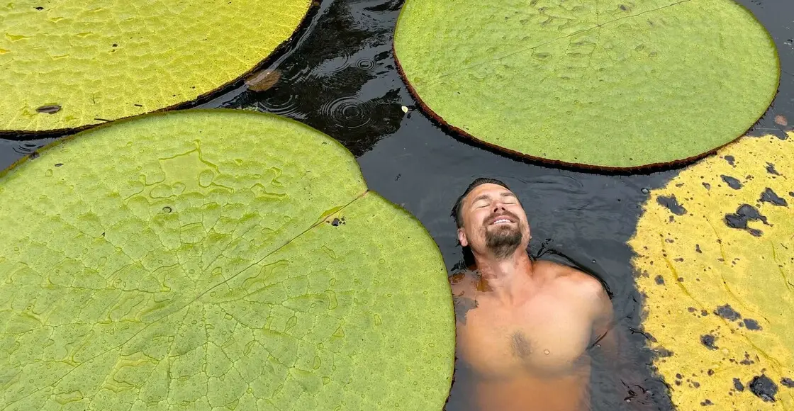 &nbsp;