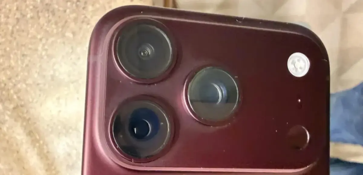&nbsp;