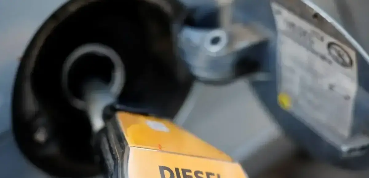 &nbsp;