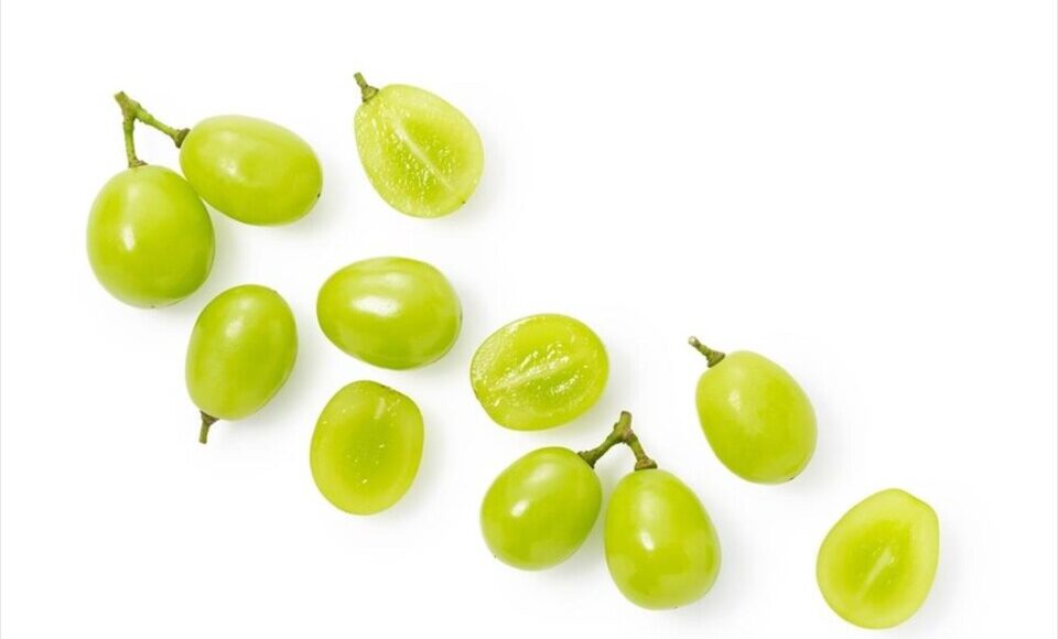 &nbsp;